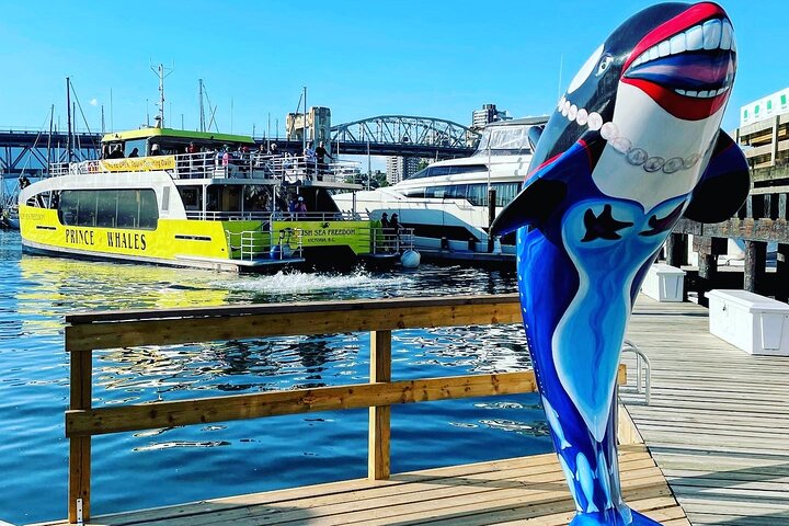 Vancouver Whale Watching Adventure with City tour - Image 5