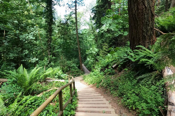 Vancouver's Natural Stair Master Workout, With Beach Walk - Image 4