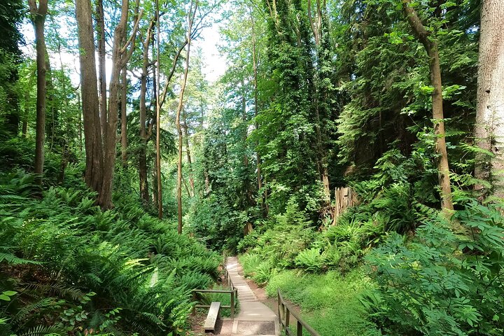 Vancouver's Natural Stair Master Workout, With Beach Walk - Image 3