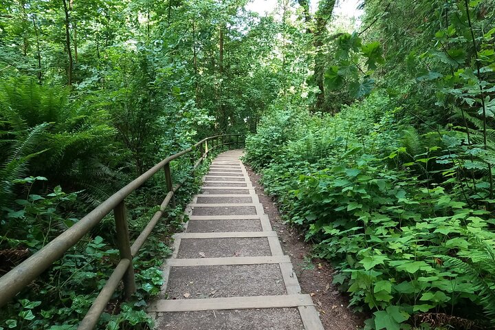 Vancouver's Natural Stair Master Workout, With Beach Walk - Image 5
