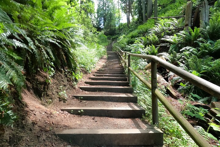 Vancouver's Natural Stair Master Workout, With Beach Walk - Image 2