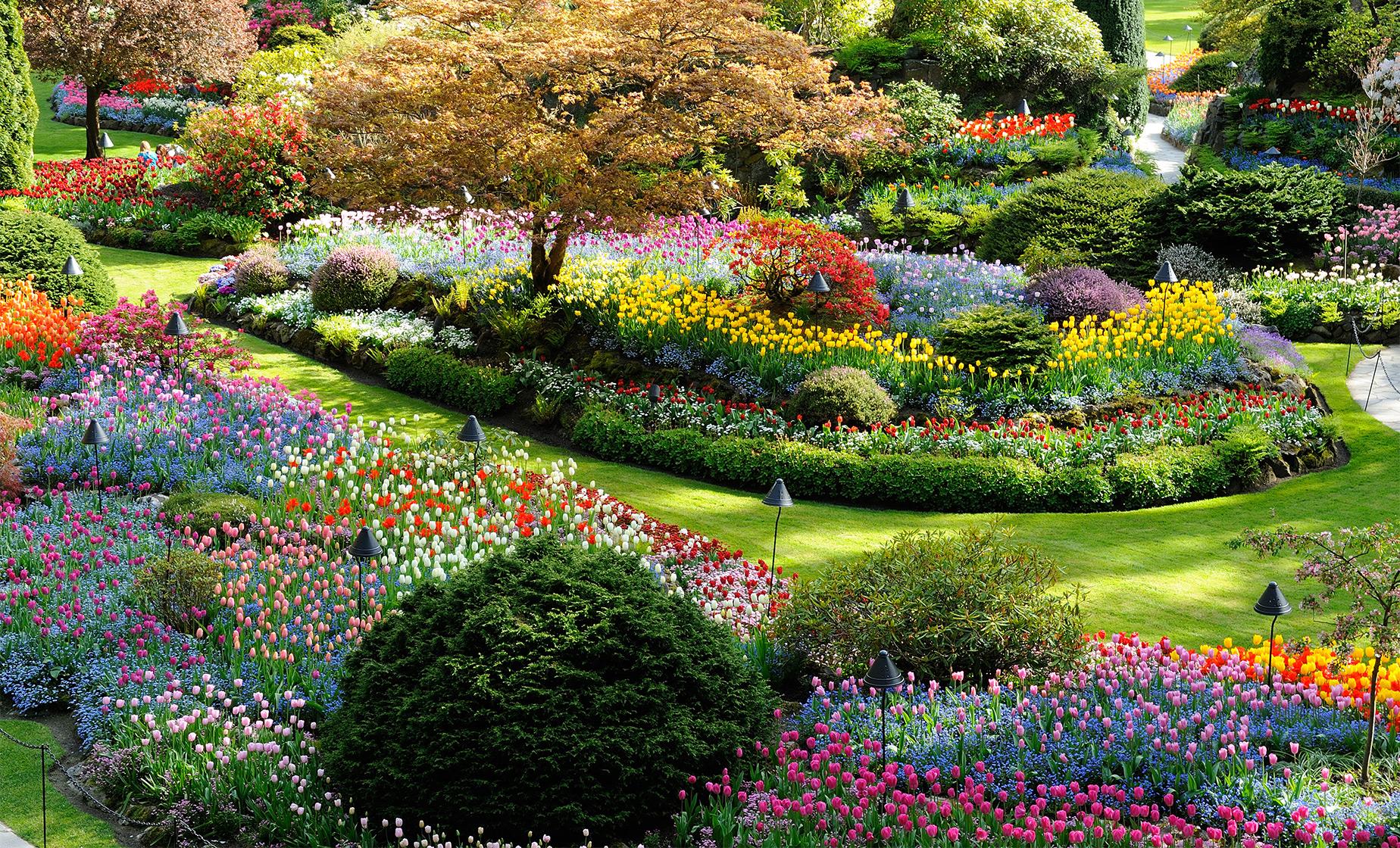 Victoria and Butchart Gardens - Image 1