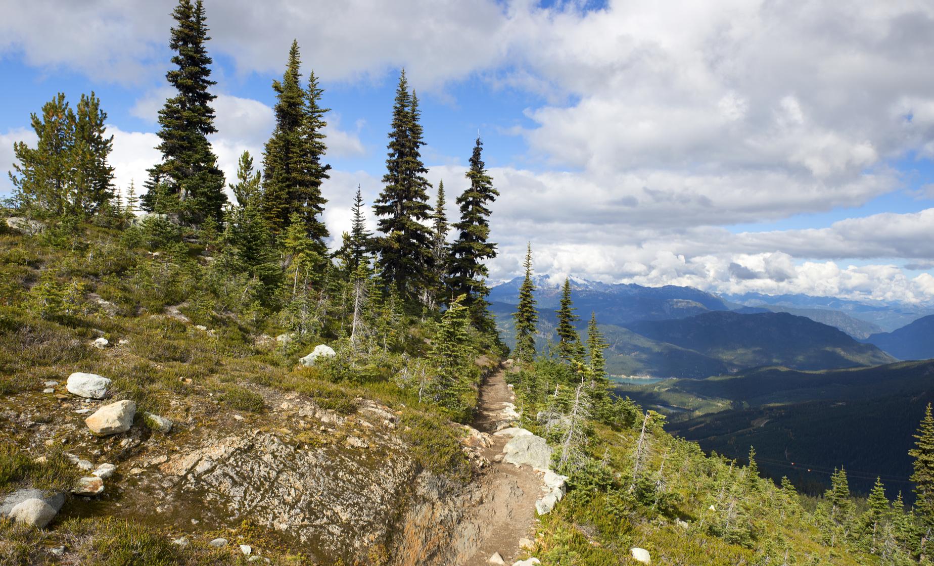 Whistler Mountains and Adventure - Image 1