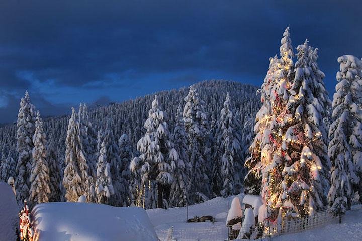 Winter Fun at North Shore Mountains- Grouse, Seymour & Cypress  - Image 2