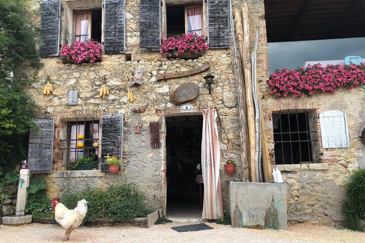 Food and Wine Tour on the Prosecco Hills from Venice - Image 3