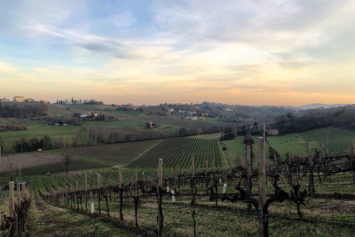 Food and Wine Tour on the Prosecco Hills from Venice - Image 1
