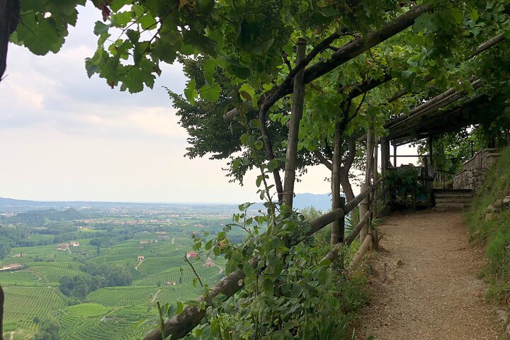 Food and Wine Tour on the Prosecco Hills from Venice - Image 4