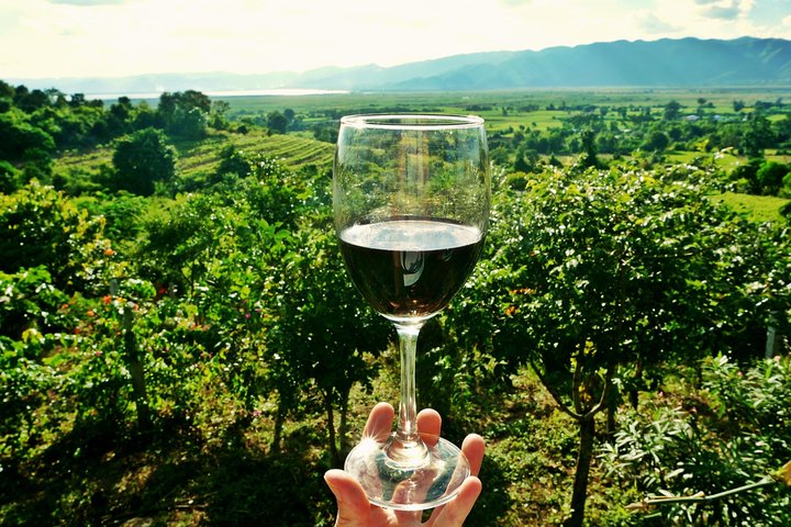 Private Half Day Wine Tasting tour: Road Of The Doges - Image 1