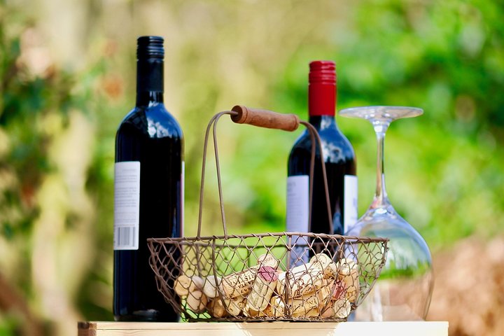 Private Half Day Wine Tasting tour: Road Of The Doges - Image 4