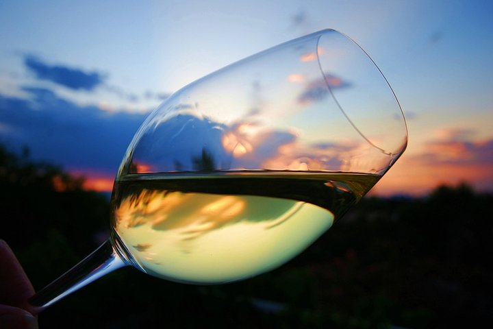 Private Half Day Wine Tasting tour: Road Of The Doges - Image 2
