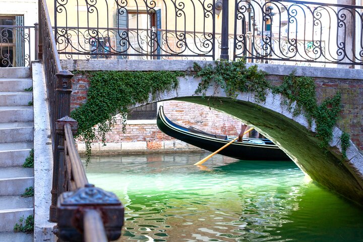 Private Venice of the Venetians Tour with Pickup - Image 1
