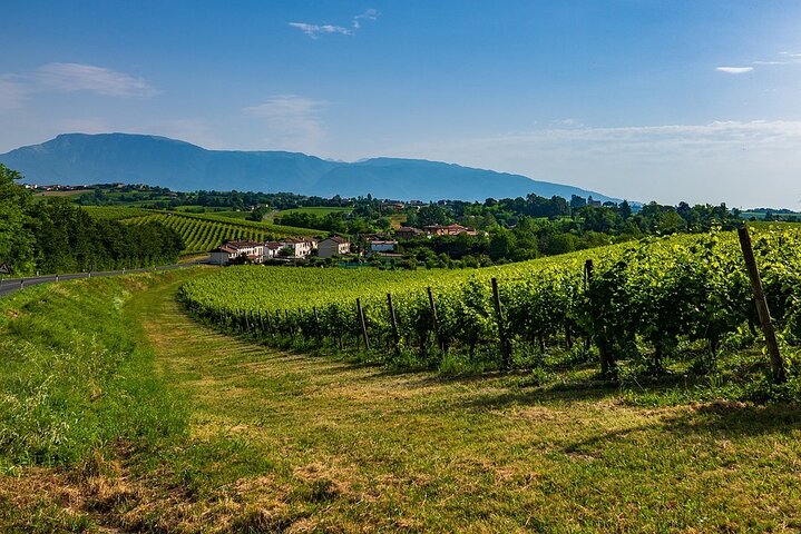  Valdobbiadene 2 days between wine, food and culture - Image 3
