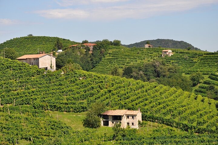  Valdobbiadene 2 days between wine, food and culture - Image 4