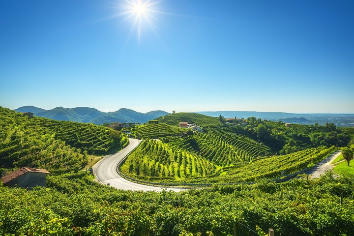  Valdobbiadene 2 days between wine, food and culture - Image 2