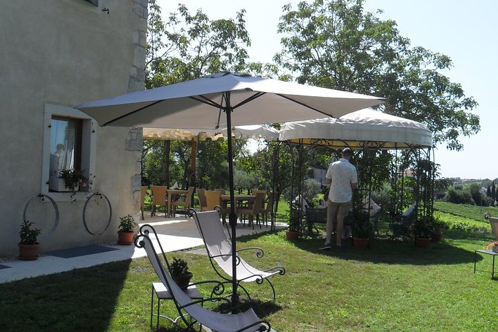 ”Wine is bottled poetry ,that's why I love Prosecco !! private Tour - Image 4