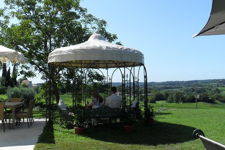 ”Wine is bottled poetry ,that's why I love Prosecco !! private Tour - Image 5