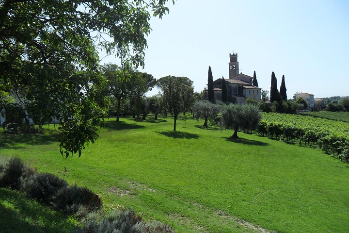 ”Wine is bottled poetry ,that's why I love Prosecco !! private Tour - Image 2