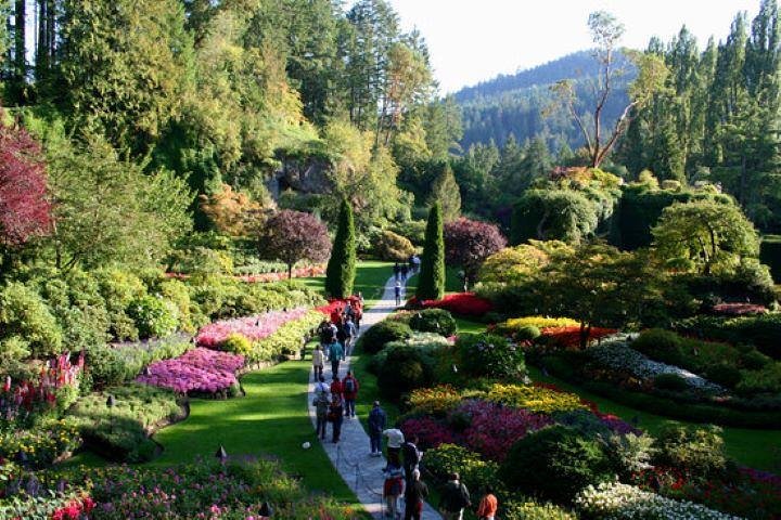 Butchart Gardens and City Tour - Image 4