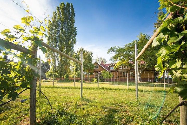 Cowichan Valley Wine Tasting: Explore Vancouver Island's New Wine Appelation - Image 2