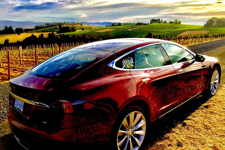 Cowichan Valley Wine Tasting: Explore Vancouver Island's New Wine Appelation - Image 4