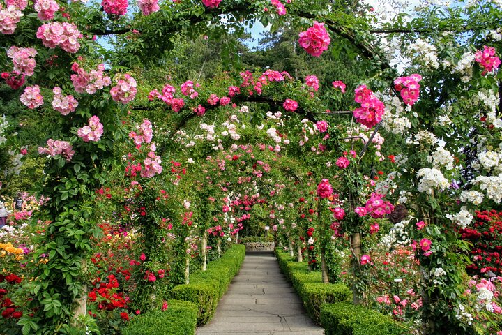 Private Butchart Gardens + Gardens at HCP Tour - Image 1