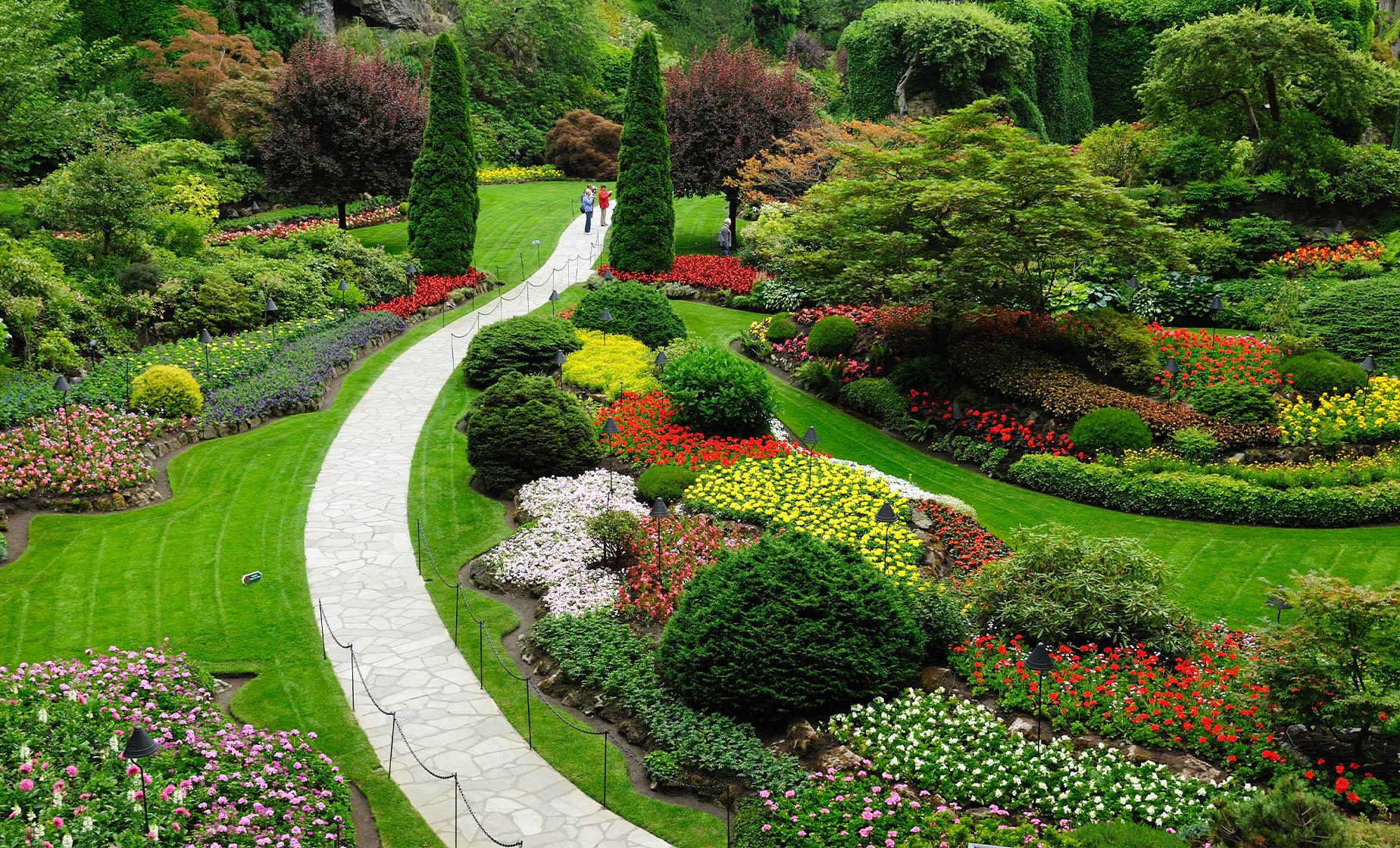 Private City Tour with Butchart Gardens - Image 1