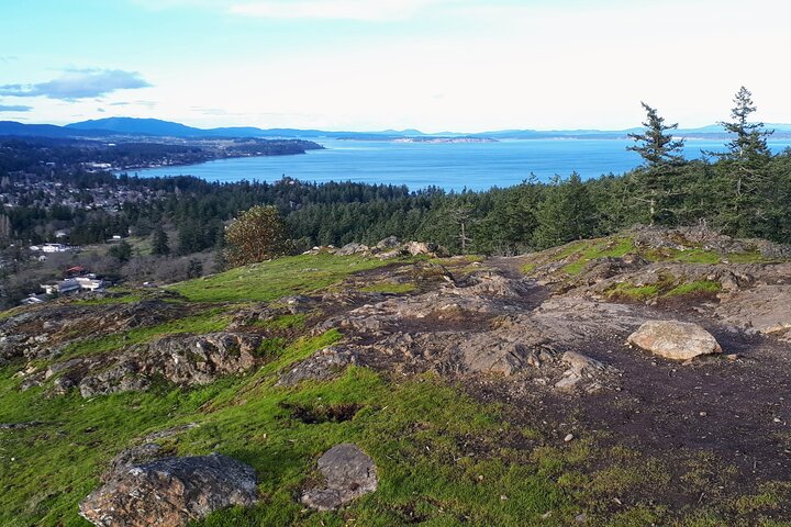 Private Half-Day Guided Nature Hike in Victoria, BC - Image 3