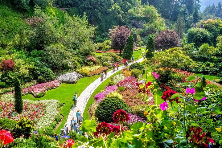The Ultimate Group Package Tour of Victoria - Image 1