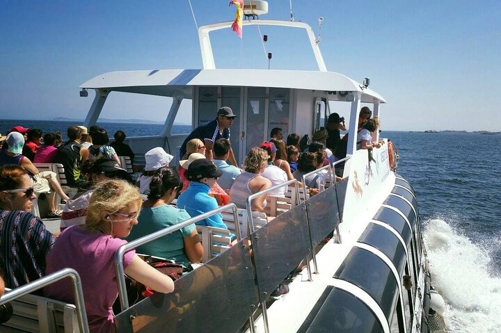 1hr Catamaran Tour with Mussels Tasting from O Grove - Image 3