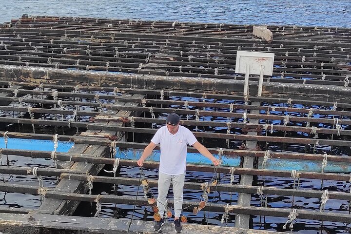 Rias Baixas PRIVATE Shoretour - Image 2