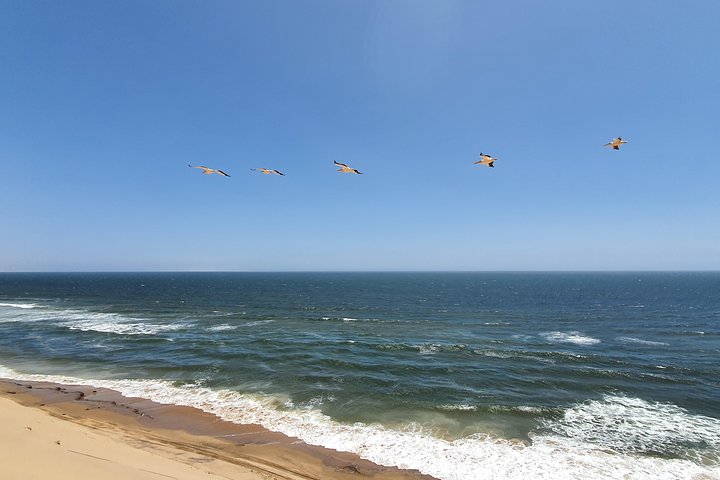  Cultural Tour in Swakopmund - Image 1