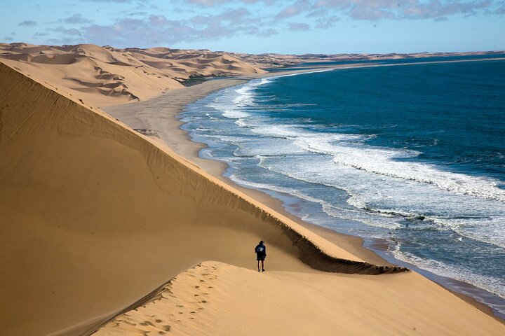 Half-Day Sandwich Harbour Tour from Walvis Bay with Lunch - Image 1
