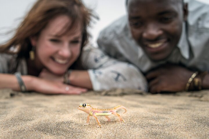 Half-Day Sandwich Harbour Tour from Walvis Bay with Lunch - Image 4