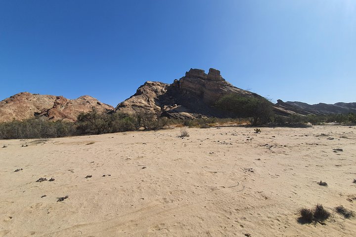 Moon Landscape including Welwitchia Plains - Image 3