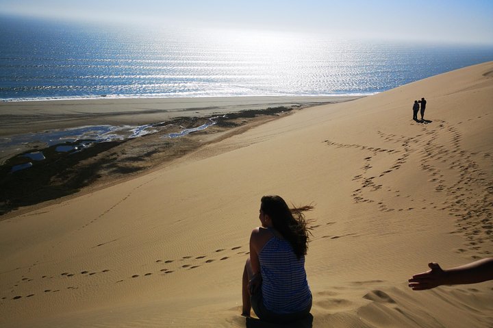 Sandwhich Harbour Dune 4x4 Full Day - Image 1