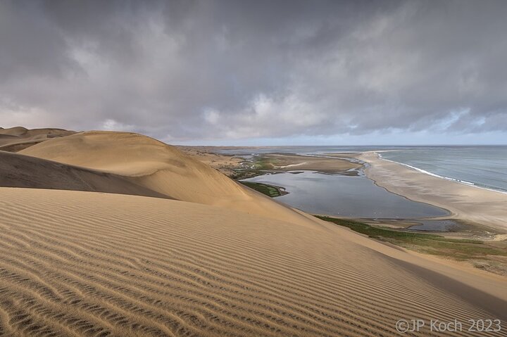 Sandwich Harbour Half-Day 4x4 Tour (5 hours) from Walvis Bay - Image 1