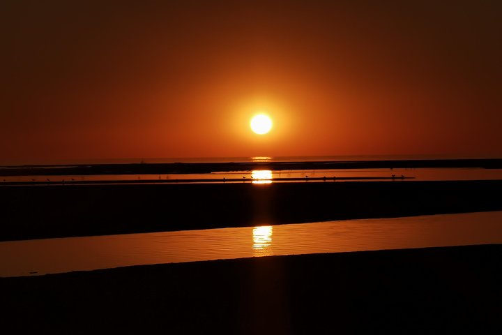 Sandwich Harbour Half Day Excursion  - Image 4