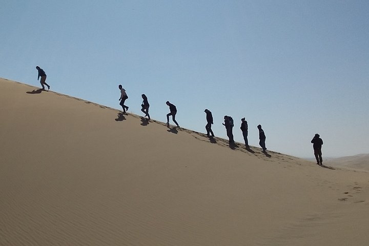 Sandwich Harbour Morning 4x4 Tour - Image 3