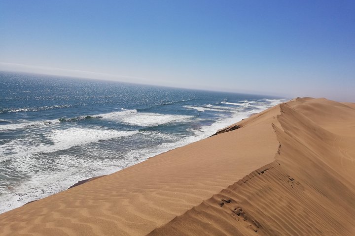 Sandwich Harbour Scenic Excursion - For The Cruise Ships - Image 4