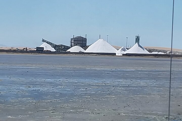 Seal Kayaking at Pelican Point - Image 5