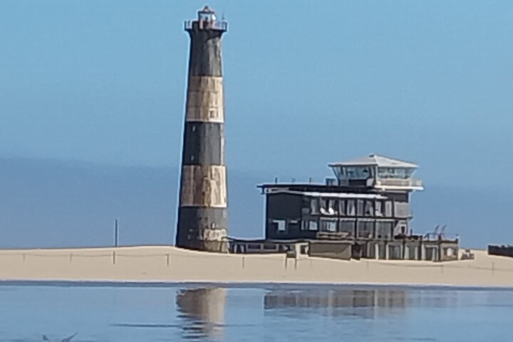 Seal Kayaking at Pelican Point - Image 2
