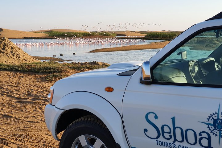 Shore Fishing Tour from Swakopmund - Image 3