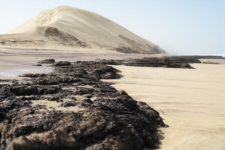 Tour to Sandwich harbour - Image 2