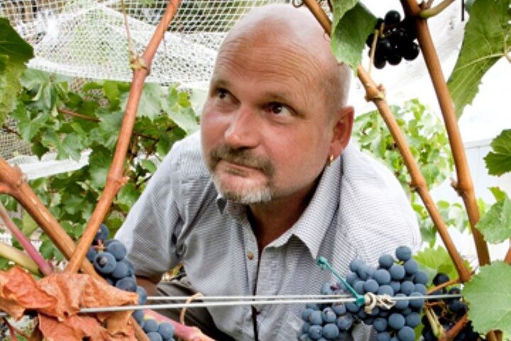 5 hour Martinborough Bespoke Shared Wine Tour with Gourmet lunch - Image 4
