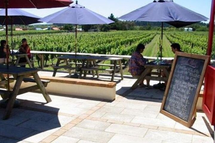 5 hour Martinborough private 3 wine tastings tour with lunch - Image 3
