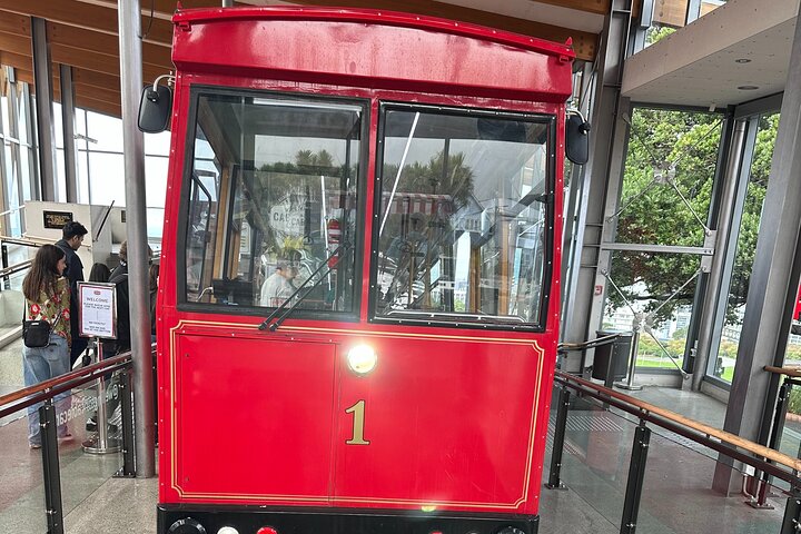 5 hour Wellington City Heights Shared tour - Image 2
