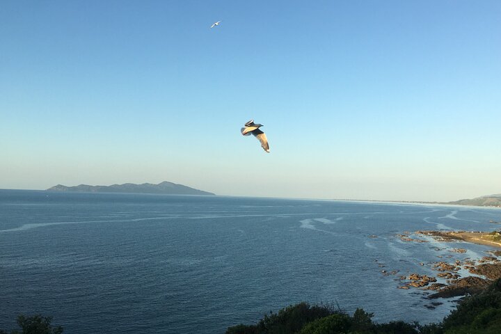 7-Hour Private Scenic Kapiti Coast Tour from Wellington - Image 2