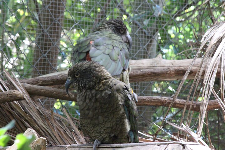 7-Hour Private Scenic Kapiti Coast Tour from Wellington - Image 3