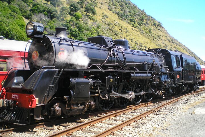 7-Hour Private Scenic Kapiti Coast Tour from Wellington - Image 5