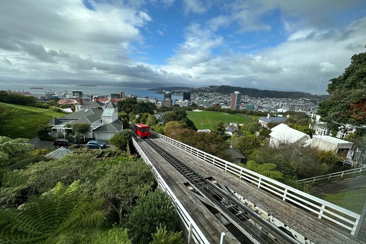  Exclusive Wellington Sightseeing Private Tour  - Image 4